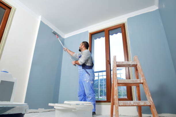 Professional Painting & Drywall Installation in Woodridge, IL