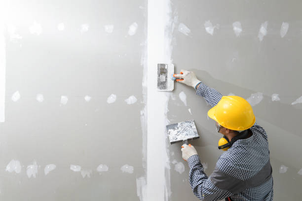 Best Wallpaper Removal and Painting  in Woodridge, IL